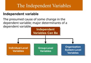 The Independent Variables
Independent
Variables Can Be
Individual-Level
Variables
Organization
System-Level
Variables
Group-Level
Variables
Independent variable
The presumed cause of some change in the
dependent variable; major determinants of a
dependent variable.
 