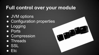 Full control over your module 
● JVM options 
● Configuration properties 
● Logging 
● Ports 
● Compression 
● Threads 
● SSL 
● Etc 
 