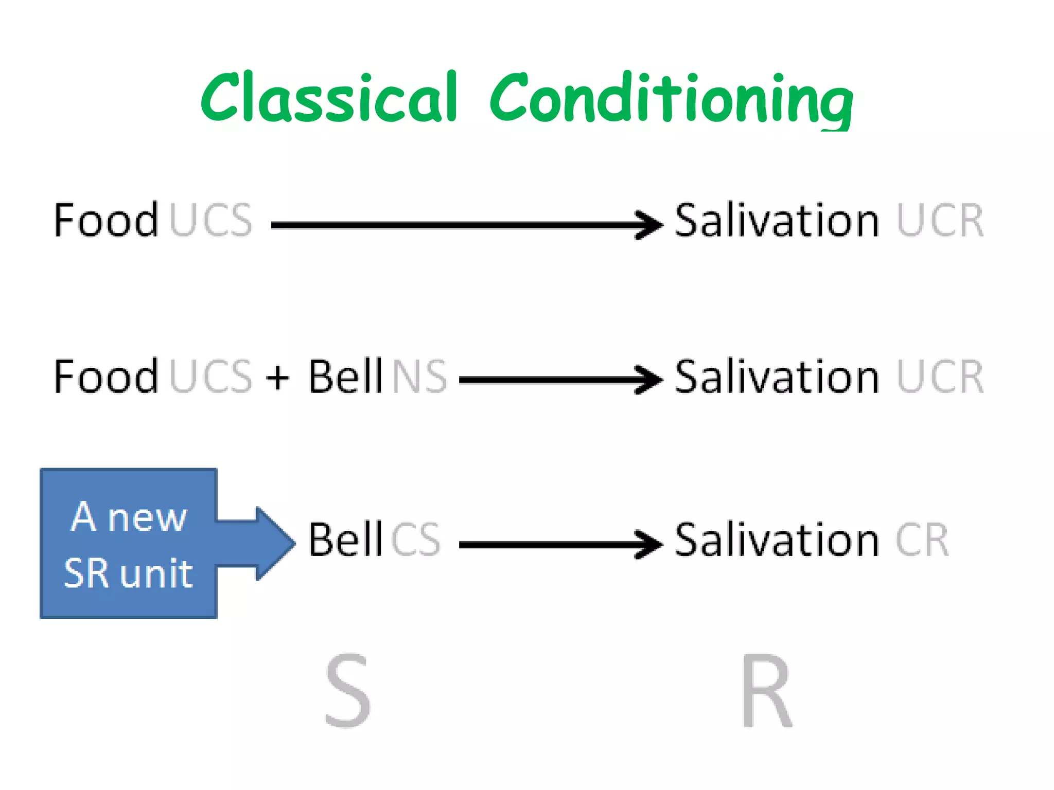 Classical Conditioning
 