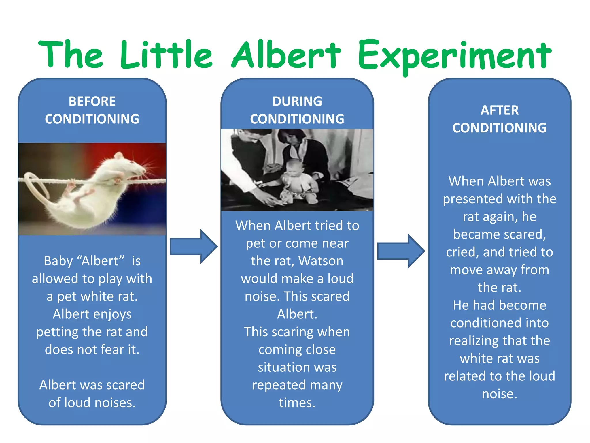 The Little Albert Experiment
BEFORE
CONDITIONING
Baby “Albert” is
allowed to play with
a pet white rat.
Albert enjoys
petting the rat and
does not fear it.
Albert was scared
of loud noises.
DURING
CONDITIONING
When Albert tried to
pet or come near
the rat, Watson
would make a loud
noise. This scared
Albert.
This scaring when
coming close
situation was
repeated many
times.
AFTER
CONDITIONING
When Albert was
presented with the
rat again, he
became scared,
cried, and tried to
move away from
the rat.
He had become
conditioned into
realizing that the
white rat was
related to the loud
noise.
 