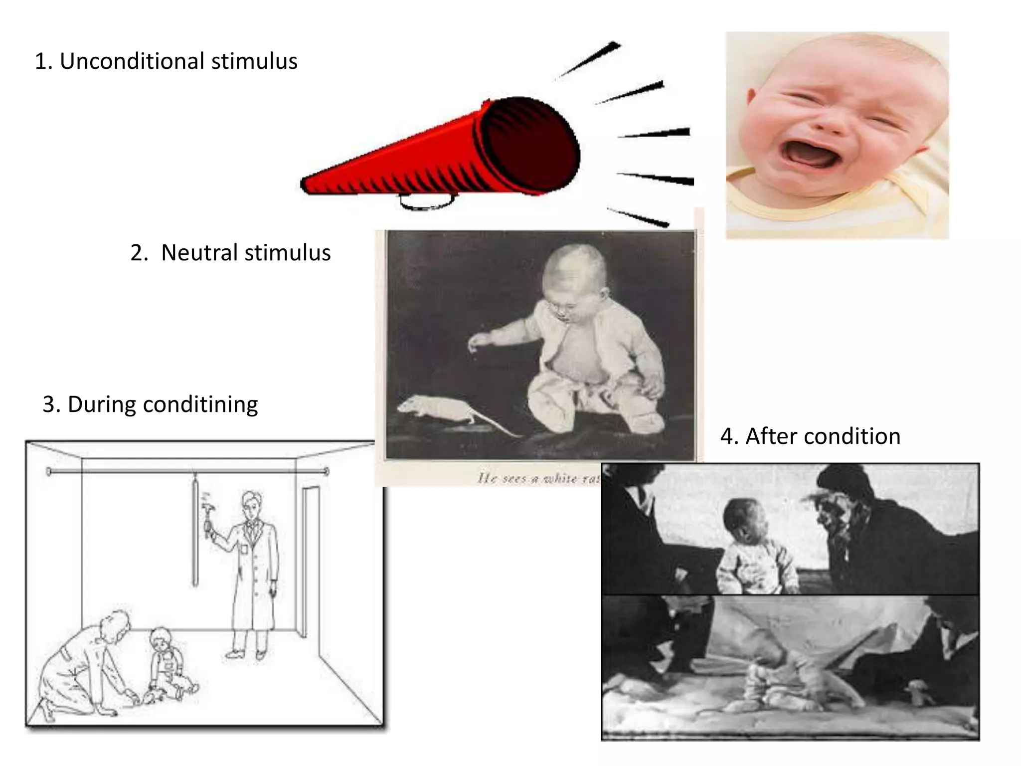 1.
1. Unconditional stimulus
2. Neutral stimulus
4. After condition
3. During conditining
 