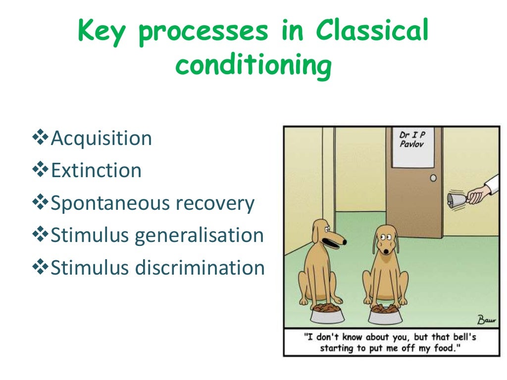 classical conditioning