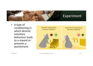 Organisational Behaviour 