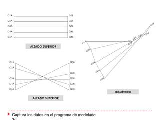 Captura los datos en el programa de modelado

 