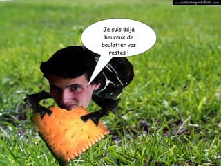 Je suis déjà heureux de boulotter vos restes ! 