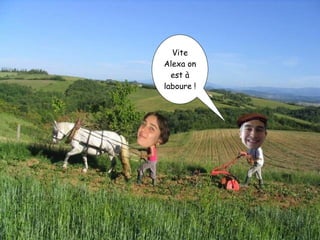 Vite Alexa on est à laboure ! 