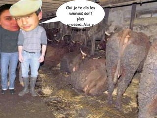 Oui je te dis les miennes sont plus grosses...Vas y regarde... 