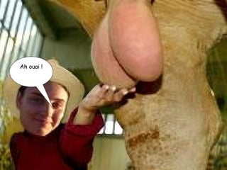 Ah ouai ! 