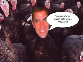 Pourquoi m’avoir choisit petit dinde innocente  ! 