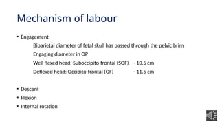 Breech presentation and OP Position obstetrics .pptx