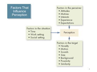 Factors That Influence Perception 