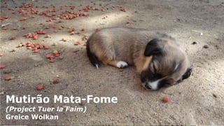 Name of presentation
by Mr XMutirão Mata-Fome
(Project Tuer la Faim)
Greice Wolkan
 