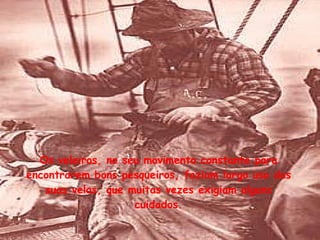 Os veleiros, no seu movimento constante para encontrarem bons pesqueiros, faziam largo uso das suas velas, que muitas vezes exigiam alguns cuidados. 