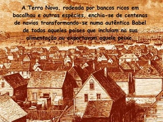 A Terra Nova, rodeada por bancos ricos em bacalhau e outras espécies, enchia-se de centenas de navios transformando-se numa autêntica Babel de todos aqueles países que incluíam na sua alimentação ou exportavam aquele peixe. 