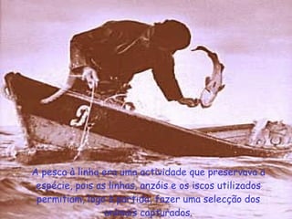 A pesca à linha era uma actividade que preservava a espécie, pois as linhas, anzóis e os iscos utilizados permitiam, logo à partida, fazer uma selecção dos animais capturados. 