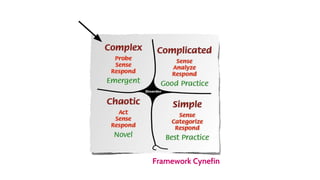 Framework Cynefin
 