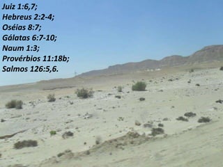 Juiz 1:6,7;
Hebreus 2:2-4;
Oséias 8:7;
Gálatas 6:7-10;
Naum 1:3;
Provérbios 11:18b;
Salmos 126:5,6.
 