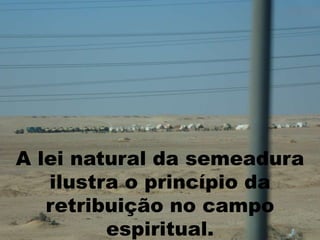 A lei natural da semeadura
ilustra o princípio da
retribuição no campo
espiritual.
 