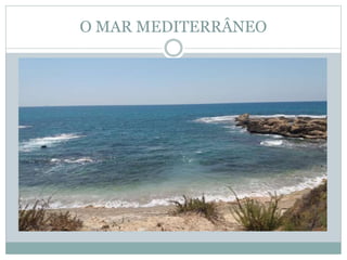 O MAR MEDITERRÂNEO
 