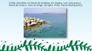 O Mar Vermelho no litoral da Jordânia, em Aqaba, com vista para o
litoral de Israel e, mais ao longe, do Egito. (Foto: Daniel Buarque/G1)
 