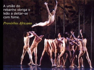 A união do rebanho obriga o leão a deitar-se com fome. Provérbio Africano 