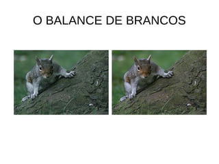 O BALANCE DE BRANCOS 
 