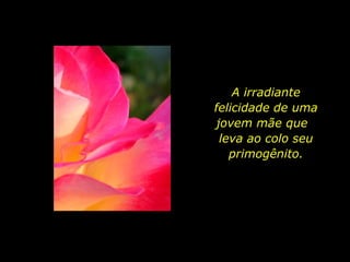 A irradiante felicidade de uma jovem mãe que  leva ao colo seu primogênito. 