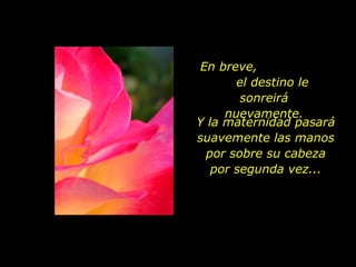 En breve,  el destino le sonreirá nuevamente. Y la maternidad pasará suavemente las manos por sobre su cabeza por segunda vez... 