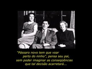 “ Pássaro novo tem que voar  perto do ninho”, pensa seu pai, sem poder imaginar as conseqüências  que tal decisão acarretará...  