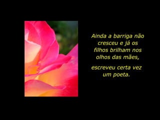 Ainda a barriga não cresceu e já os filhos brilham nos olhos das mães, escreveu certa vez um poeta. 