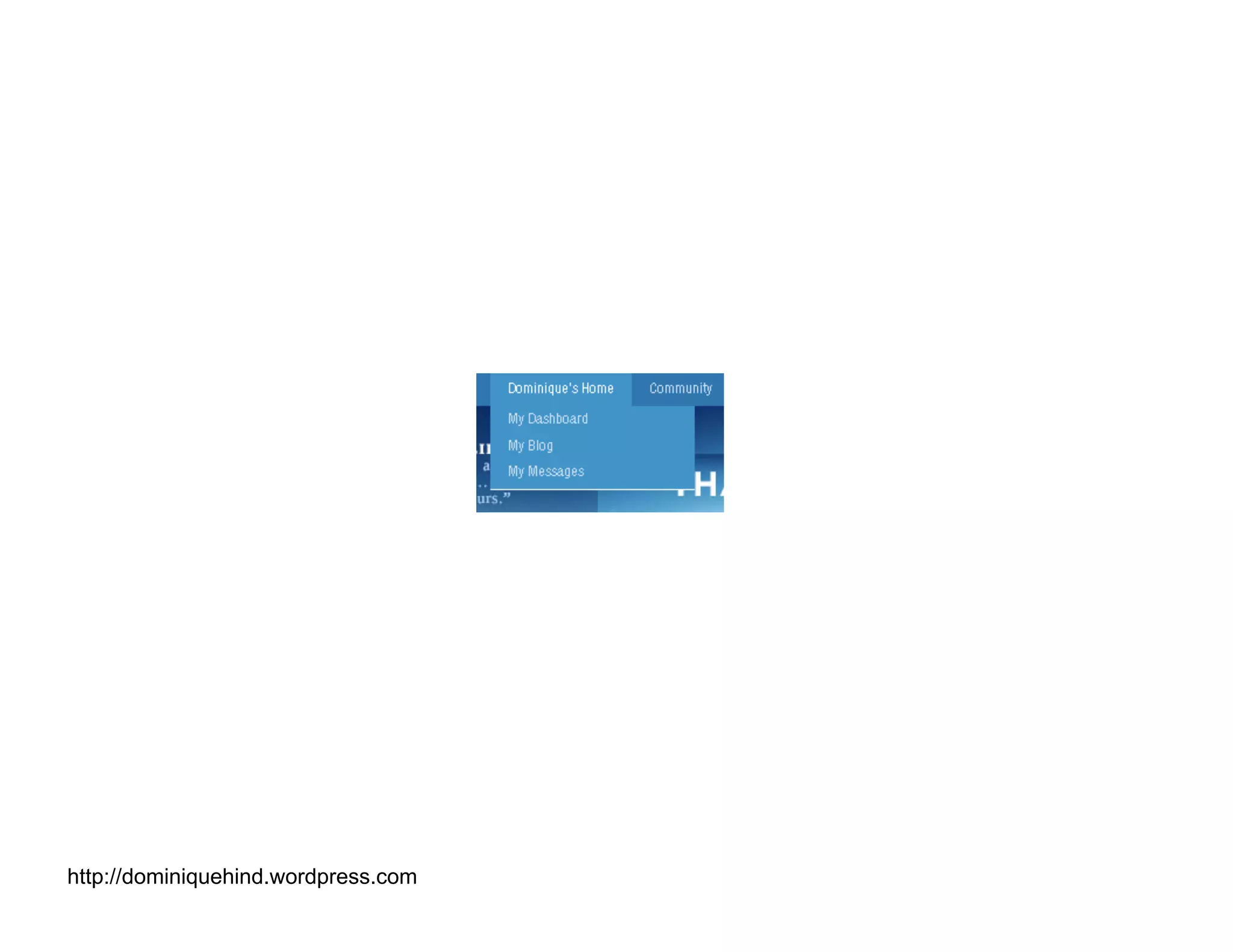 Obama Campaign Summary