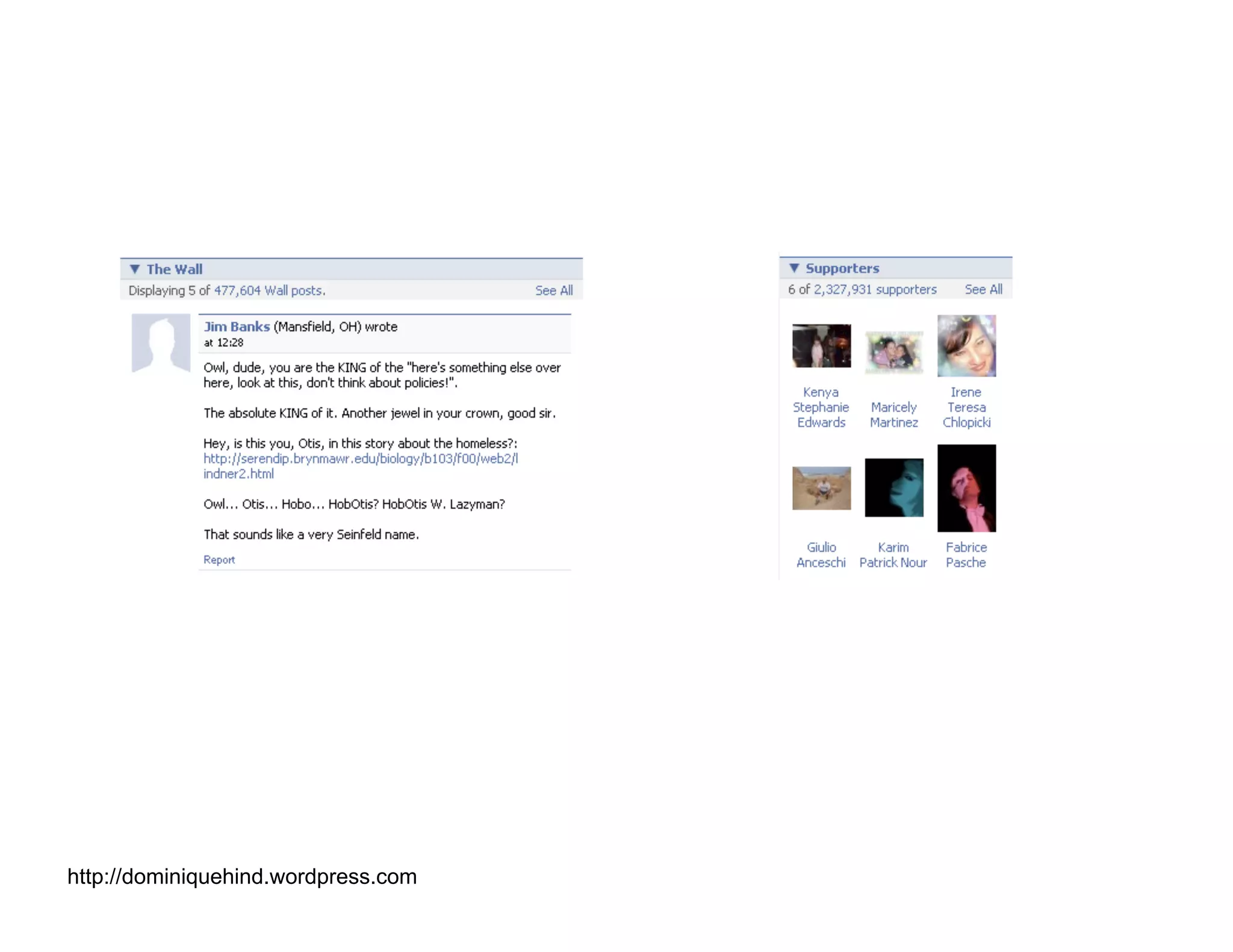 Obama Campaign Summary