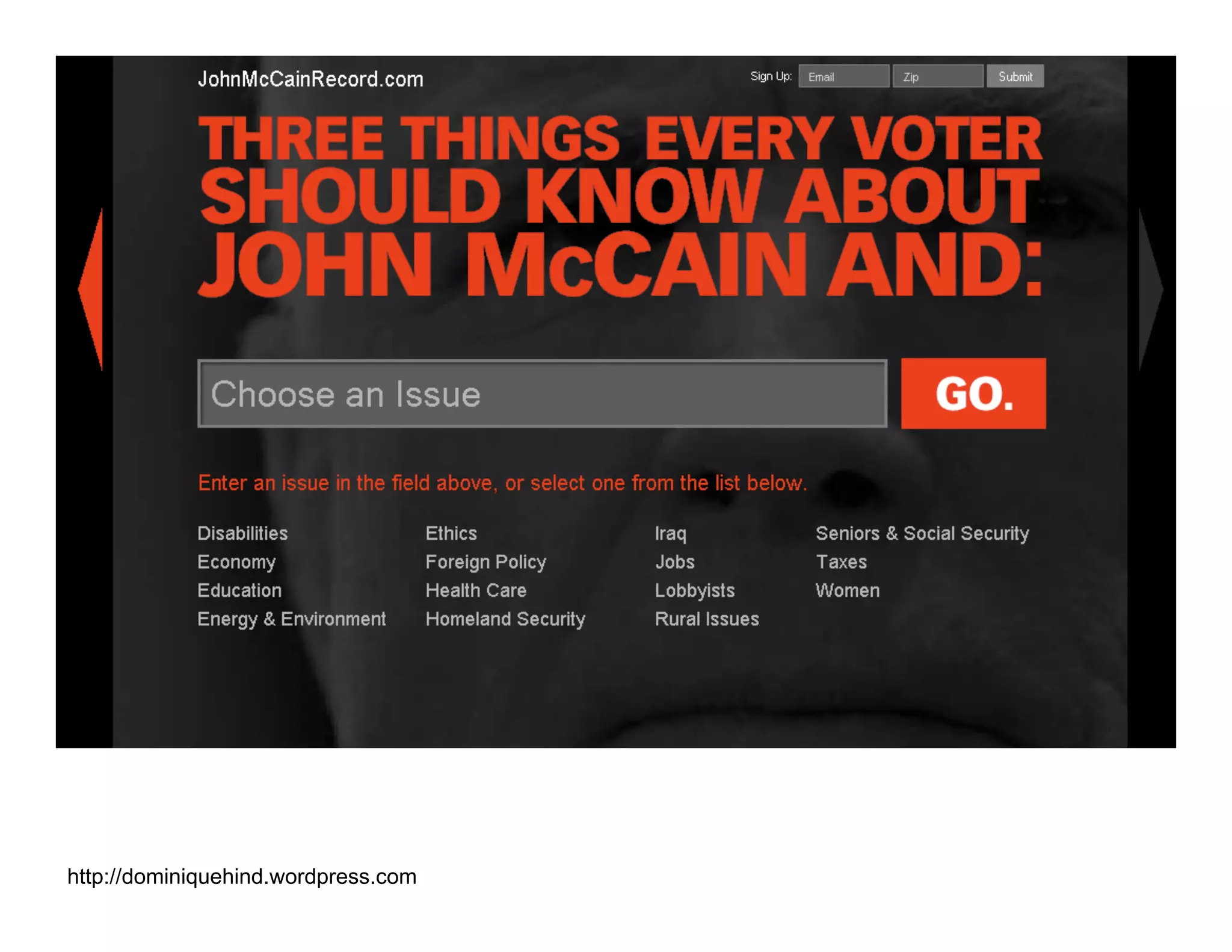 Obama Campaign Summary