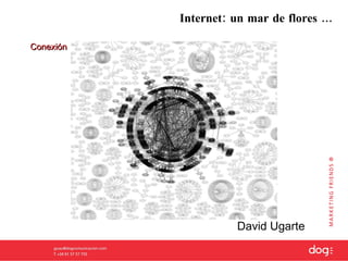 Internet: un mar de flores … David Ugarte Conexión 