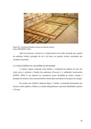 22
Figura 09 - Estruturas de bambu imersas na calda de cimento.
Fonte: KRAMER (1992).
Após este processo, retiram-se os corpos-de-prova da calda, deixando que sequem
em ambiente coberto, protegido do sol e da chuva, na posição vertical, encostados, por
exemplo, em paredes.
2.3 CARACTERÍSTICAS ANATÔMICAS DO BAMBU
A espécie vegetal conhecida como bambu, é conhecida há milhares de anos por
vários povos e pertence à família das gramíneas (Poaceae) e à subfamília bambusoidea
(LÓPEZ, 2003). É um material eco sustentável, possui facilidade de cultivo, manejo e
produção de insumos, bem como possibilita a diminuição considerável com gastos de energia.
De acordo com Frederico Menezes Régis, o bambu é constituído basicamente por
rizoma e colmo (galhos e folhas) e se tratado adequadamente, apresenta durabilidade superior
a 25 anos.
 