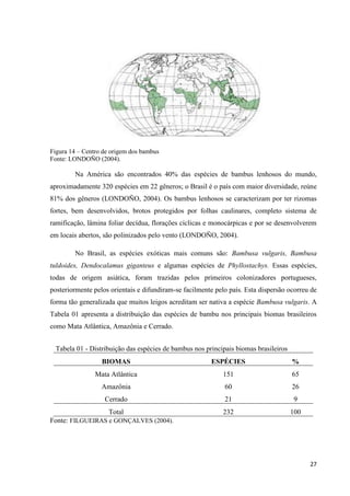 27
Figura 14 – Centro de origem dos bambus
Fonte: LONDOÑO (2004).
Na América são encontrados 40% das espécies de bambus lenhosos do mundo,
aproximadamente 320 espécies em 22 gêneros; o Brasil é o país com maior diversidade, reúne
81% dos gêneros (LONDOÑO, 2004). Os bambus lenhosos se caracterizam por ter rizomas
fortes, bem desenvolvidos, brotos protegidos por folhas caulinares, completo sistema de
ramificação, lâmina foliar decídua, florações cíclicas e monocárpicas e por se desenvolverem
em locais abertos, são polinizados pelo vento (LONDOÑO, 2004).
No Brasil, as espécies exóticas mais comuns são: Bambusa vulgaris, Bambusa
tuldoides, Dendocalamus giganteus e algumas espécies de Phyllostachys. Essas espécies,
todas de origem asiática, foram trazidas pelos primeiros colonizadores portugueses,
posteriormente pelos orientais e difundiram-se facilmente pelo país. Esta dispersão ocorreu de
forma tão generalizada que muitos leigos acreditam ser nativa a espécie Bambusa vulgaris. A
Tabela 01 apresenta a distribuição das espécies de bambu nos principais biomas brasileiros
como Mata Atlântica, Amazônia e Cerrado.
Tabela 01 - Distribuição das espécies de bambus nos principais biomas brasileiros
BIOMAS ESPÉCIES %
Mata Atlântica 151 65
Amazônia 60 26
Cerrado 21 9
Total 232 100
Fonte: FILGUEIRAS e GONÇALVES (2004).
 