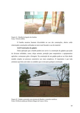 54
Figura 41 - Detalhe da ligação dos bambus
Fonte: VÉLEZ (2002).
O bambu mostrou bastante diversidade no uso das construções, abaixo estão
relacionados construções utilizadas no meio rural fazendo o uso do material.
2.6.8 Construções de galpões
Outra aplicação que o bambu poderá nos servir é a construção de galpões que pode
ter diversas utilidades, como; alojar animais, proteção para maquinários e equipamentos
agrícolas e armazenar grão e forragem. Na construção de um galpão pode-se ser feito desde
modelo simples no processo construtivo aos mais complexos. O importante é que toda
estrutura seja feita com todos os cuidados que se tem para qualquer construção.
Figura 42 - Galpão construído com estrutura de Bambu e conexões metálicas
Fonte: CR-Rom cedido por Roberto Magno de Castro e Silva.
 