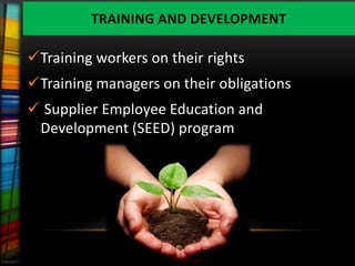 TRAINING AND DEVELOPMENT

Training workers on their rights
Training managers on their obligations
 Supplier Employee Education and
 Development (SEED) program
 