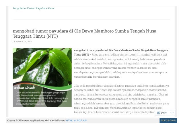 Obat Kanker Payudara Stadium Awal Site Title