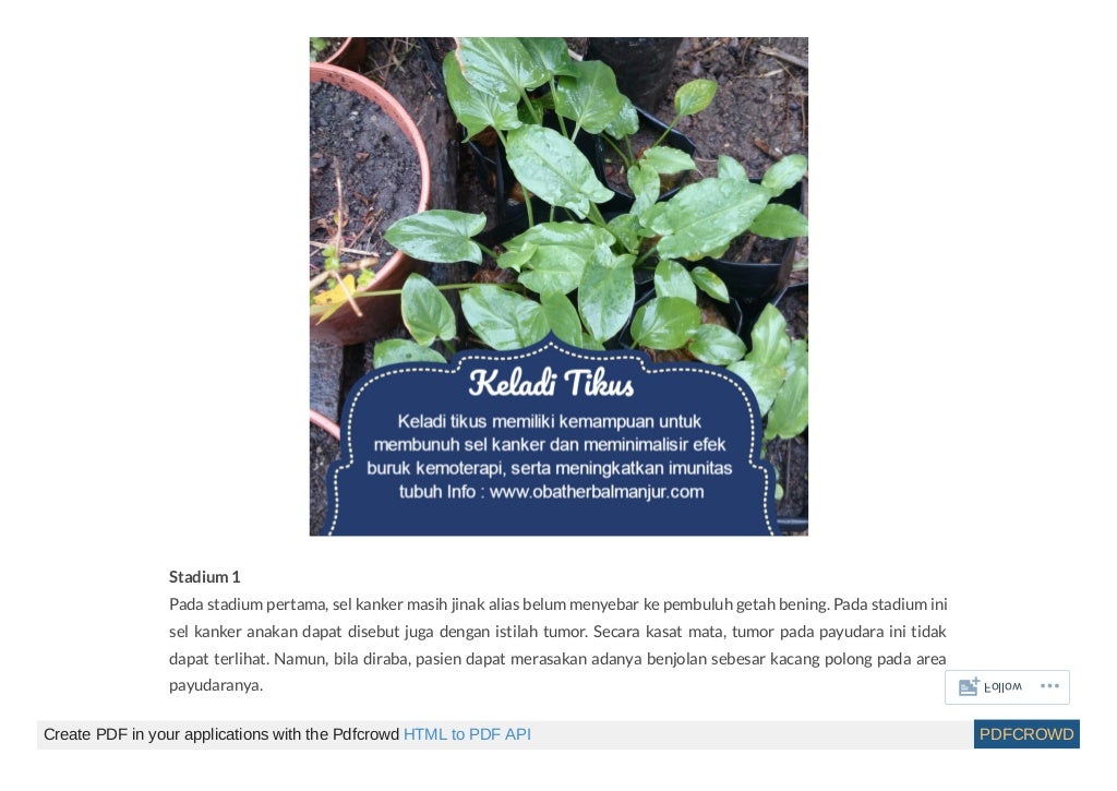 Obat alternatif kanker payudara stadium 4