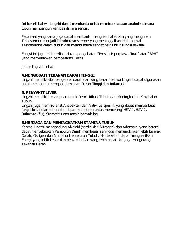 Obat Dewa Jual Jamur Lingzhi Kering Wa 0823 2504 1067