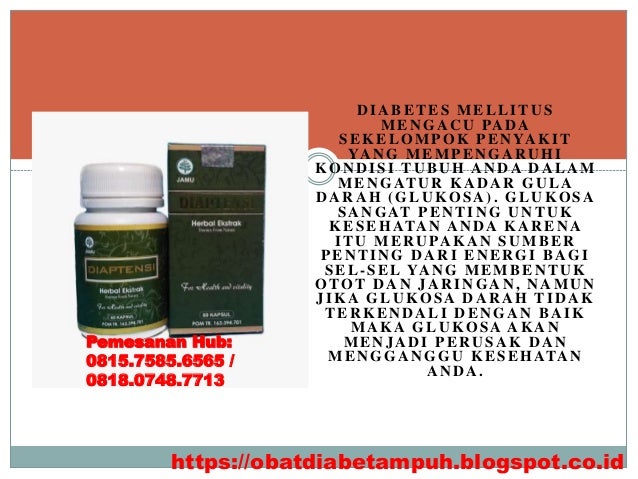 6 Obat Kencing Manis Tradisional Diabetes Melitus Paling Ampuh
