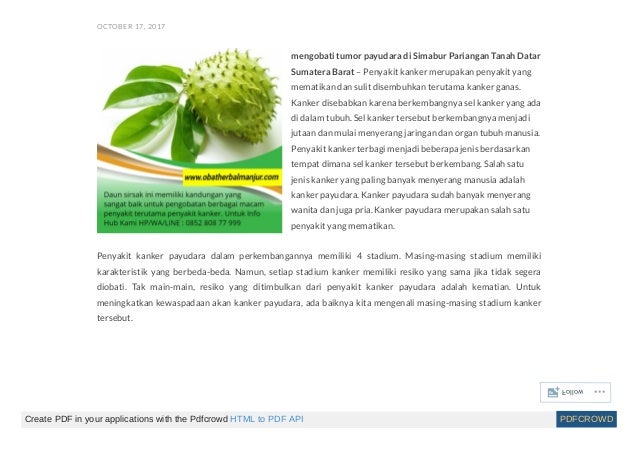 Obat Kanker Payudara Stadium 1 Obat Kanker Payudara Stadium 1