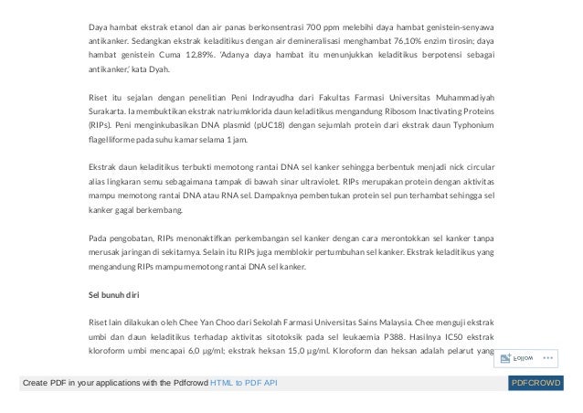 Obat Herbal Kanker Payudara Stadium Tiga  Stadium 4 Terapi