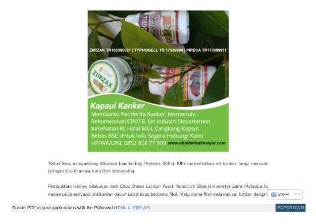Obat Herbal Kanker Payudara Dan Pengobatan Alternatif Lain Obat Herbal Kanker Payudara Dan Pengobatan Alternatif Lain