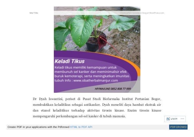 Obat Kanker Stadium 1 Payudara