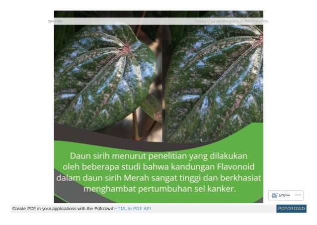 Obat Buat Kanker Payudara Stadium Akhir Site Title