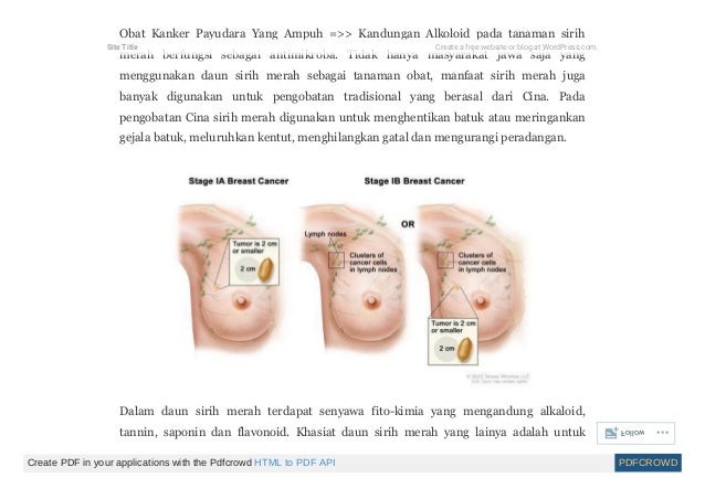 Herbal Kanker Payudara Stadium 4 By Kankerpayudarajinak Issuu Herbal Kanker Payudara Stadium 4 By Kankerpayudarajinak Issuu