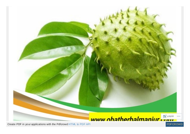 11 Tanaman  Herbal Buat Penyakit Asam Lambung