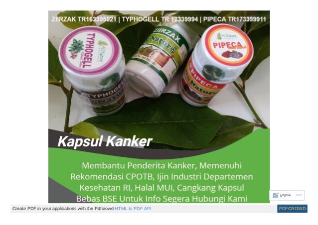 Stadium Kanker 3b Payudara